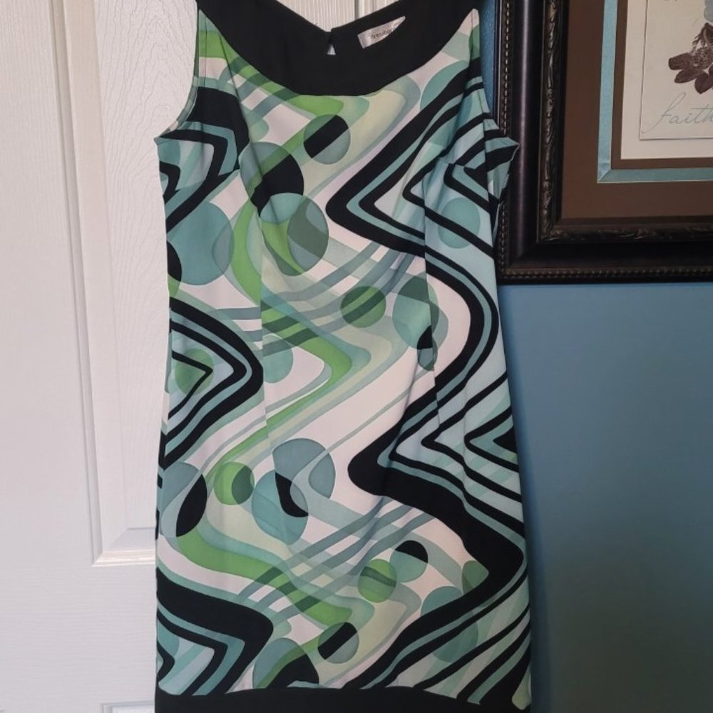 Dress Barn size 12 dress